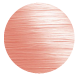 Icon 10 Icon 10